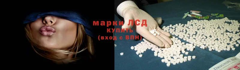 ЛСД экстази ecstasy  продажа наркотиков  Белая Холуница 